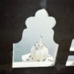 Apoorva Arora Instagram - First attempt on film 🫶🏼 #shotonfilm #yashica #kodakgold200 @zhenwei.film Udaipur - The City of Lakes