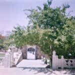 Apoorva Arora Instagram - First attempt on film 🫶🏼 #shotonfilm #yashica #kodakgold200 @zhenwei.film Udaipur - The City of Lakes