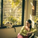 Apoorva Arora Instagram - IDEAL MONDAY EVENING 🐱 🌅 📸- @tusharmahajanofficial