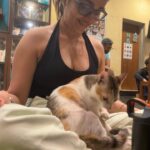 Apoorva Arora Instagram - Stupid hoomans wanted to “work” at a cat cafe. Stupid hoomans call themselves hOoMaN and think they sound cute -🐱