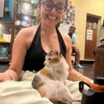 Apoorva Arora Instagram - Stupid hoomans wanted to “work” at a cat cafe. Stupid hoomans call themselves hOoMaN and think they sound cute -🐱