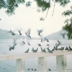 Apoorva Arora Instagram - Another one of my decent-ish attempts on film ❤️ 🎞️ Fujicolor C200 @zhenwei.film Udaipur, Rajasthan