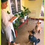 Archana Kavi Instagram - A day in Pluto and Bruno's life Kochi, India