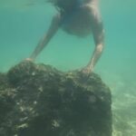 Archana Suseelan Instagram – Snorkeling is a gateway to a world of magic where the beauty of nature takes your breath away 🤩 @praveen2261 

#adventure #hawaii #couplegoals #snorkeling #memories #lifetime Honolulu, Oahu Hawaii