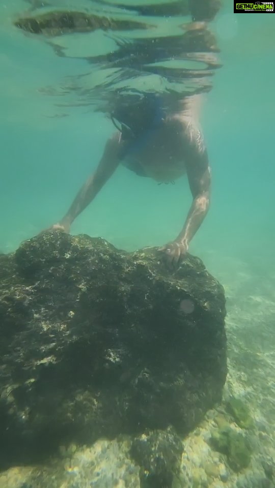 Archana Suseelan Instagram - Snorkeling is a gateway to a world of magic where the beauty of nature takes your breath away 🤩 @praveen2261 #adventure #hawaii #couplegoals #snorkeling #memories #lifetime Honolulu, Oahu Hawaii