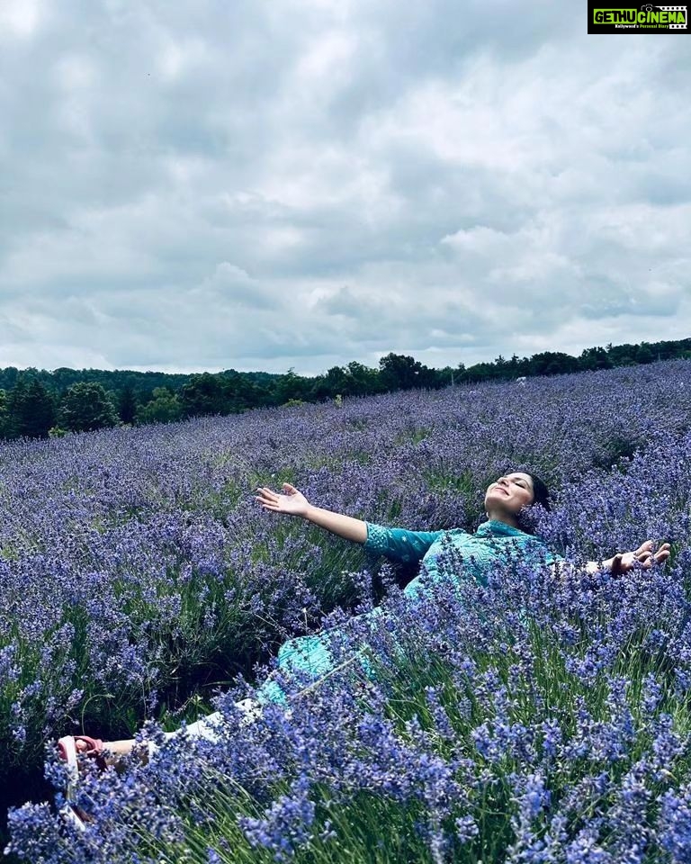 Asha Sharath Instagram - Live life in full bloom🌸