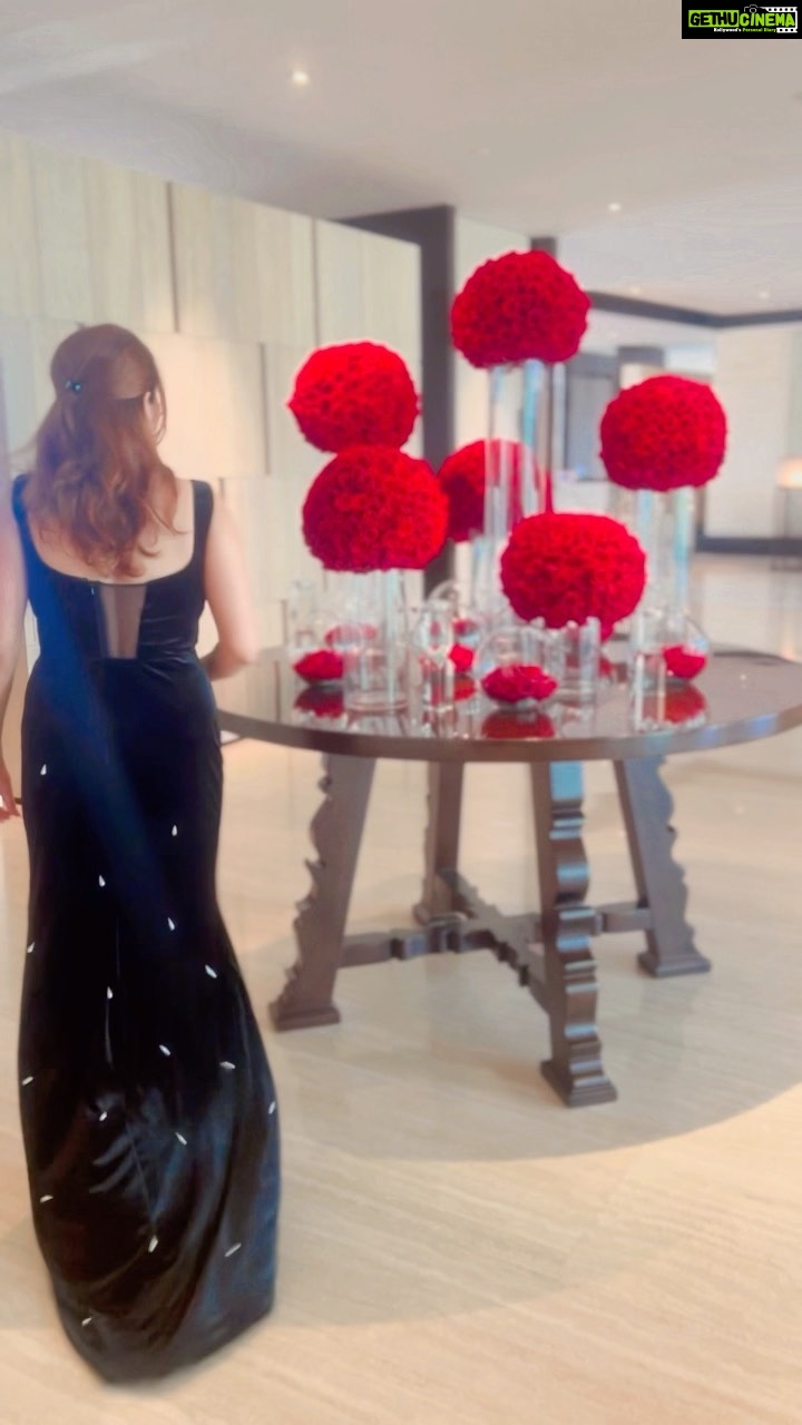 Ashima Narwal Instagram - Sway with me…. Love ❤️ Ash #ashima #ashimanarwal #tollywoodactress #tollywoodactor #travelreels #travelette #china #sofitel #blackcocktail #blackdresscode #ig_india #ig_australia #ig_hyderabad #ig_chennai #ig_bangalore #ig_delhi #ig_india #ig_sydney #traveldiaries #letsgo #akon #cocktaildresses #blackgown #redroses