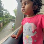 Aswathy Sreekanth Instagram - പൂച്ചയെ കണ്ടു കിട്ടിയാൽ വിവരം അറിയിക്കണം. കമല നോക്കിയിരിപ്പാണ് 😁