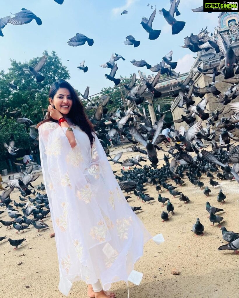 Athulya Ravi Instagram - Happy new year 2023 to all of my sweethearts and your familes 🥰 2022 been a great experience and learning ! I pray that 2023 will be remarkable and blissful year ahead for each and everyone of us 🥰❤ #happynewyear #happynewyear2023 #begratefuleveryday #befocused #havefun #behappy #loveyourself @vkfashion2018 👗