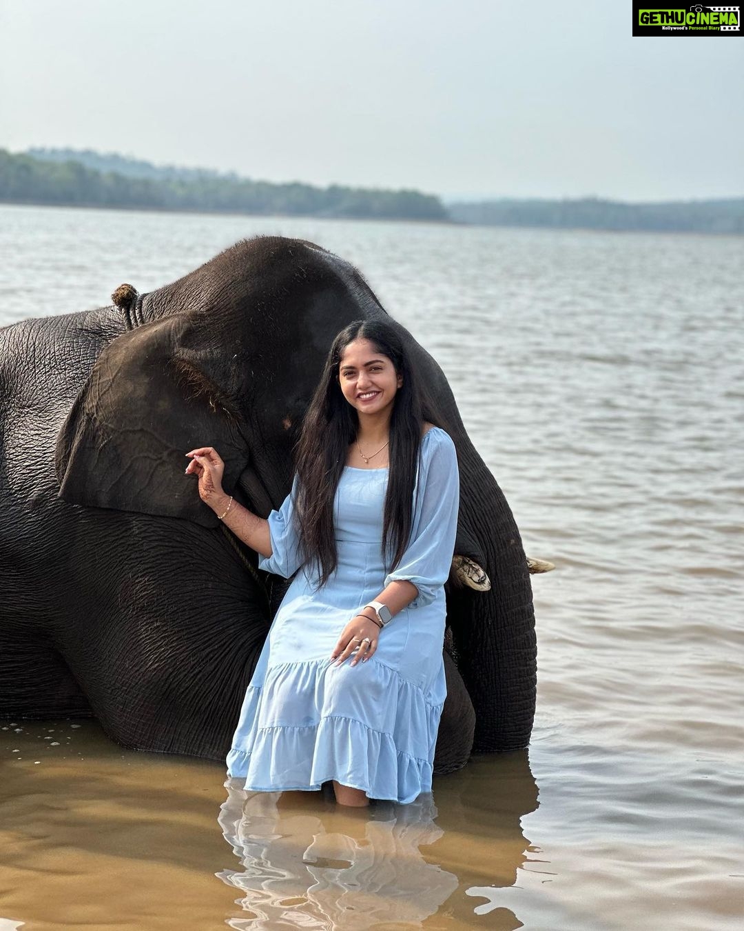 Bhavya Gowda Instagram - 🐘 #krishna #puneethrajkumar ಶಿವಮೊಗ್ಗ ಕರ್ನಾಟಕ