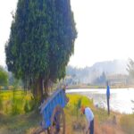 Bidita Bag Instagram - I was taking a photo...it became a video by mistake 🙈🌿 Bhor,Pune