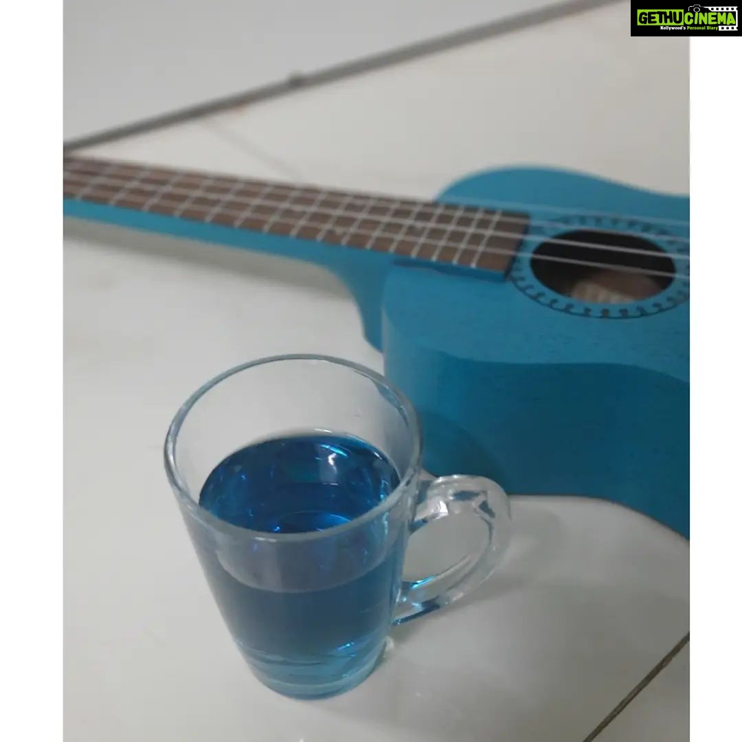 Bidita Bag Instagram - #sundayblues 🦋💙 #bluepeatea & blue #ukelele #aparajita #aparajitaflower
