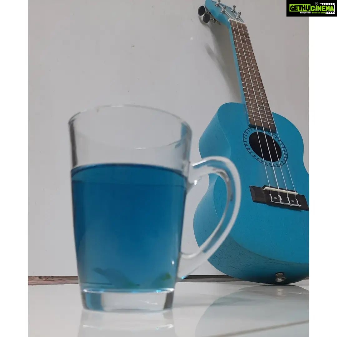 Bidita Bag Instagram - #sundayblues 🦋💙 #bluepeatea & blue #ukelele #aparajita #aparajitaflower
