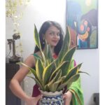 Bidita Bag Instagram - आज के समय में हर कोई आस्तीन का सांप है, किसी पर भी भरोसा करना नुकसान दे सकता है। आंख बंद करके सिर्फ #snakeplant पे भरोसा कर सकते हैं। 🤪😁🐍🌱 #houseplants #plantupdate #earthday #earthmonth #sansevieria #houseplantsofinstagram #2years #plantmom This beautiful Painting gifted by @boishalis 🤗