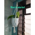 Bidita Bag Instagram – #Houseplant Update! swipe👉
My photo clicked by a fellow plant lover @palashvphoto, make-up by @artistrybyashish.
I thought I will put my photo on cover, because my plant photos are not getting likes that they deserve. 😡😤
It’s very difficult to grow plants from cuttings in a flat where there is no sunlight. But in 2years, I have managed to create a jungle. It’s worth trying. They give so much happiness, positivity, vibrancy and yes.. oxygen too! 😁🥰💚 #plantmom 
#pothos #moneyplant #urbangardening