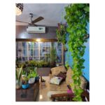 Bidita Bag Instagram - #Houseplant Update! swipe👉 My photo clicked by a fellow plant lover @palashvphoto, make-up by @artistrybyashish. I thought I will put my photo on cover, because my plant photos are not getting likes that they deserve. 😡😤 It's very difficult to grow plants from cuttings in a flat where there is no sunlight. But in 2years, I have managed to create a jungle. It's worth trying. They give so much happiness, positivity, vibrancy and yes.. oxygen too! 😁🥰💚 #plantmom #pothos #moneyplant #urbangardening