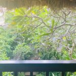 Bindu Madhavi Instagram – Alohaaa🧚‍♂️ Taj Green Cove, Kovalam