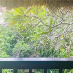 Bindu Madhavi Instagram - Alohaaa🧚‍♂️ Taj Green Cove, Kovalam