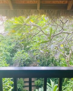 Bindu Madhavi Instagram - Alohaaa🧚‍♂️