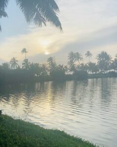 Bindu Madhavi Instagram - Alohaaa🧚‍♂️