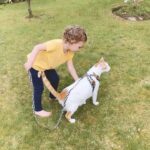 Bruna Abdullah Instagram - Honestly guys my heart can barely take it 😭❤️ she finally understands how to be gentle with him! If you are wondering why he is on a leash, it’s because since we adopted him in India he has never been an outside cat, I know it’s sad, but it was either indoor or probably dead 😳 Over here in Scotland is different so we are trying to get him and Fidi ( our other cat) used to the garden.. and one day hopefully we ( them and us) will feel confident enough to let them run free! @pickling_everything