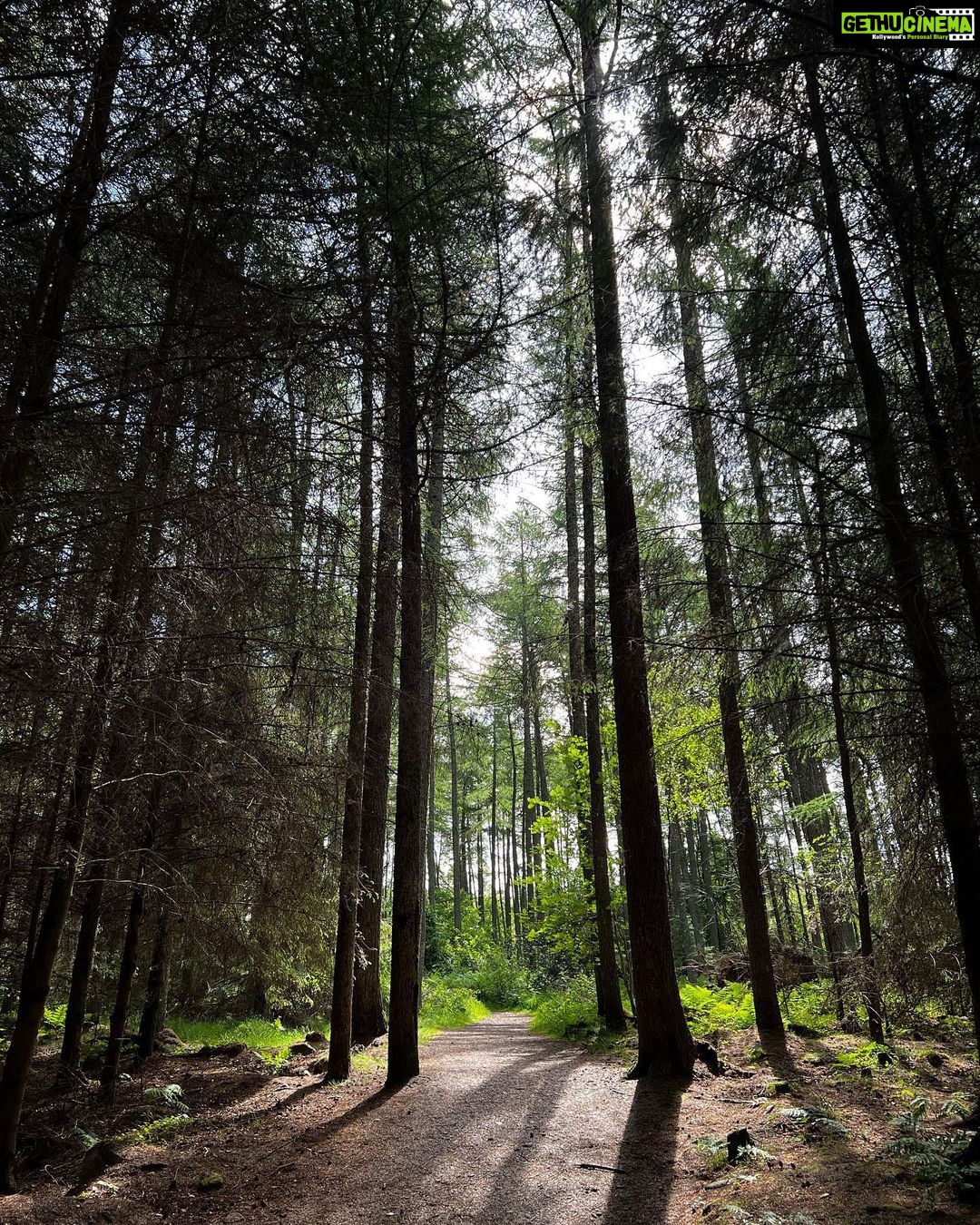 Bruna Abdullah Instagram - Aberdeen forest/woods walk! ❤️ Foggieton Woods