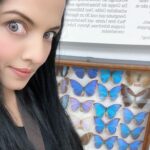 Celina Jaitly Instagram - A photograph with my biggest nightmare!! Last month at the natural history museum at @benediktinerstiftadmont in Austria I took the courage to enter the butterfly room and face my nightmare… My BP fell just upon entering the room lol, this was the only selfie I could manage by the BLUE MORPHO #butterflies Because I have an excessive and irrational fear of butterflies and there is even a scientific name for this phobia : Lepidopterophobia 😄 Symptoms of lepidopterophobia or any phobia can vary from person to person and in my case it’s extreme. It’s because a swarm of over a few thousand #monarchbutterflies sat on me when I was 3 years old while playing in the garden when my father ( an army officer) was posted in #assam My mom always said ever since I have been petrified of moths and butterflies 🦋 In this photograph you see scientific preserved specimens of the “blue morpho” which is among the largest butterflies in the world, with wings spanning from five to eight inches. ( Shuddering as I write 🦋) #phobia #lepidoptera #celina #celinajaitly #celinajaitley #austria #museum #bollywood #missindia #missuniverse #mystory Admont Abbey