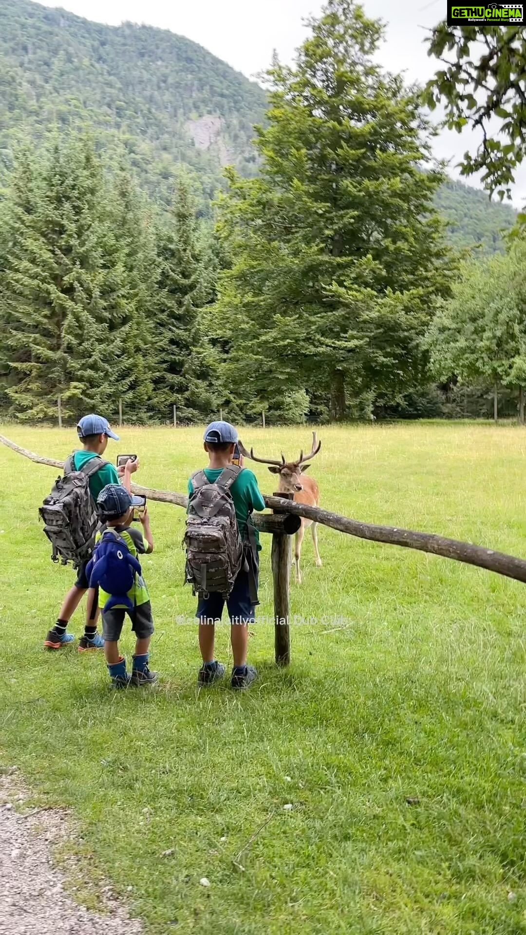 Celina Jaitly Instagram - I couldn’t help but speak on behalf of the deer 🦌 so had to do this dub 😂 because when your twins plus one are @natgeo @discovery @animalplanet channels themselves … The Wildlife is like … “Mere privacy Ka toh in Journalisto ney satyanash Kar diya…” @winstonjhaag @viraajjhaag @arthurjhaag @celinainnature 🤣 #dub #funnyanimals #celina #celinajaitly #celinajaitley #celinainnature #funnyhindi #animallovers #austria #bollywood #comedy #funnyvideos Austria, Europe