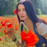 Celina Jaitly Instagram - Flowers grow back, even after they are stepped on. So will I…. #celinajaitly #celina #celinajaitley #celinainnature #bollywood #missindia #msuniverse #indianactress #flowerfields #austria #austriangirl #indiangirl #poppyfields Austria, Europe
