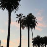 Chandrika Ravi Instagram – gratitude is the attitude. Los Angeles, California