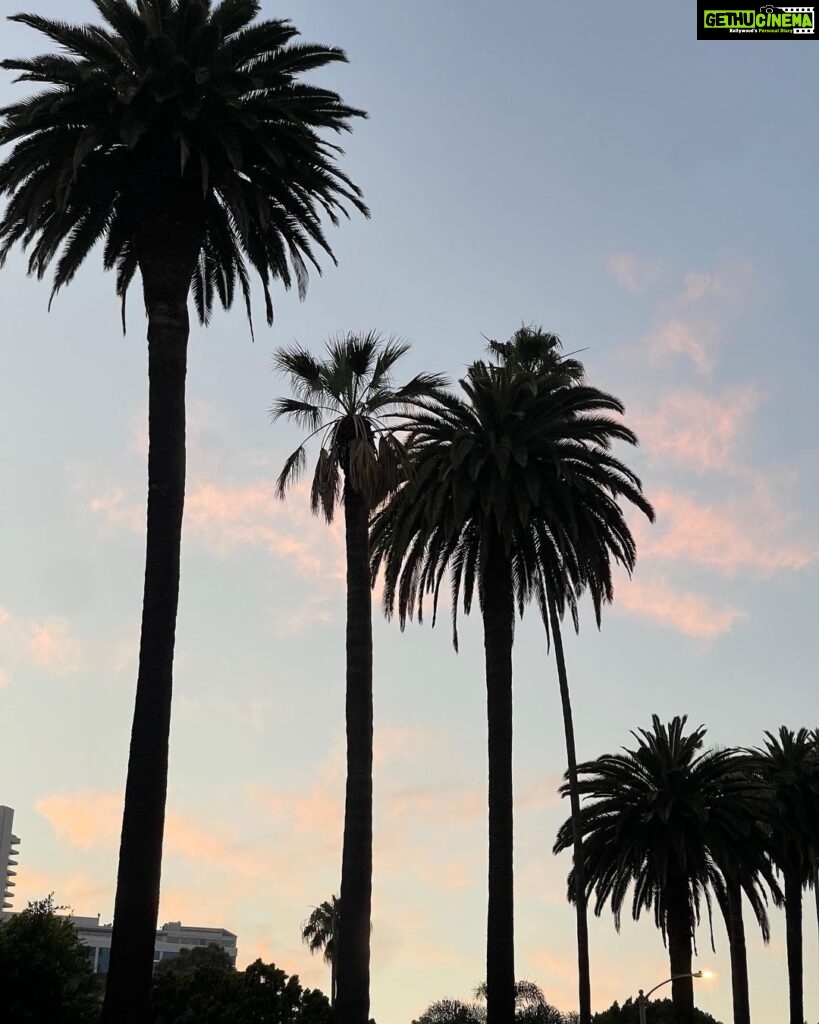 Chandrika Ravi Instagram - gratitude is the attitude. Los Angeles, California