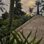 Chandrika Ravi Instagram - Mentally here. Bali, Indonesia