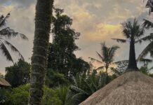 Chandrika Ravi Instagram - Mentally here. Bali, Indonesia