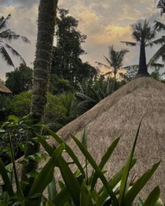 Chandrika Ravi Instagram - Mentally here. Bali, Indonesia