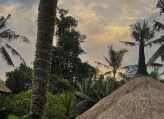 Chandrika Ravi Instagram - Mentally here. Bali, Indonesia