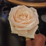 Chandrika Ravi Instagram - c'est tres bien Paris, France
