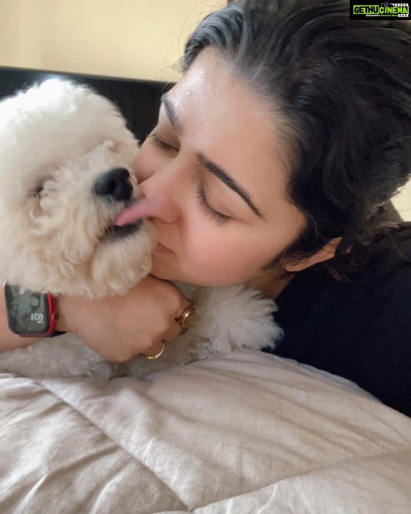 Charmy Kaur Instagram - Anything in life is absolutely impossible without them around ❤️ #internationaldogday