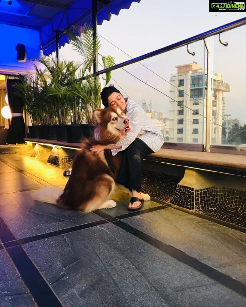 Charmy Kaur Instagram - Anything in life is absolutely impossible without them around ❤️ #internationaldogday