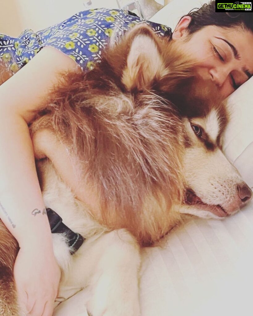 Charmy Kaur Instagram - Anything in life is absolutely impossible without them around ❤ #internationaldogday