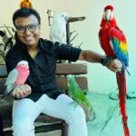 D. Imman Instagram - Faith is the bird that feels the light when the dawn is still dark!