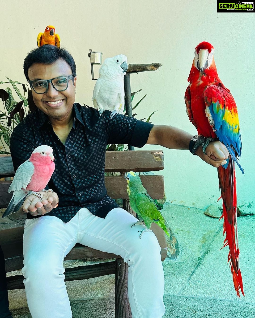 D. Imman Instagram - Faith is the bird that feels the light when the dawn is still dark!