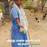 D. Imman Instagram -