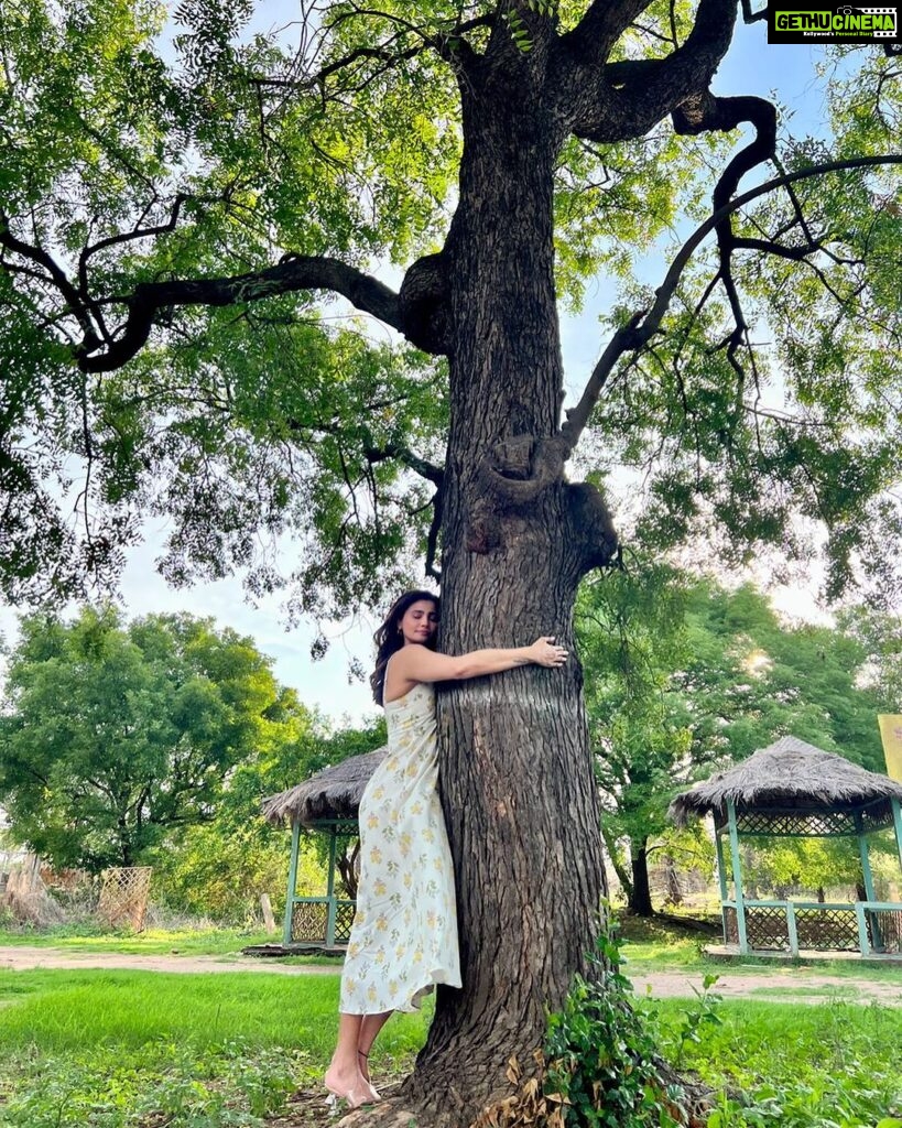Daisy Shah Instagram - Getting 1 with the nature 💚 . . . #hugatree #healing #mysafespace