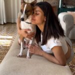 Diana Penty Instagram – Just the two of us…on our favourite couch 💕 #VickyAndD #PetLovers #AdoptDontShop
