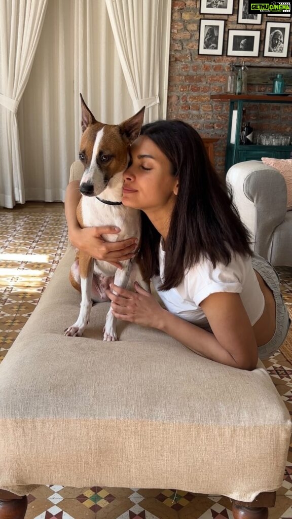 Diana Penty Instagram - Just the two of us…on our favourite couch 💕 #VickyAndD #PetLovers #AdoptDontShop