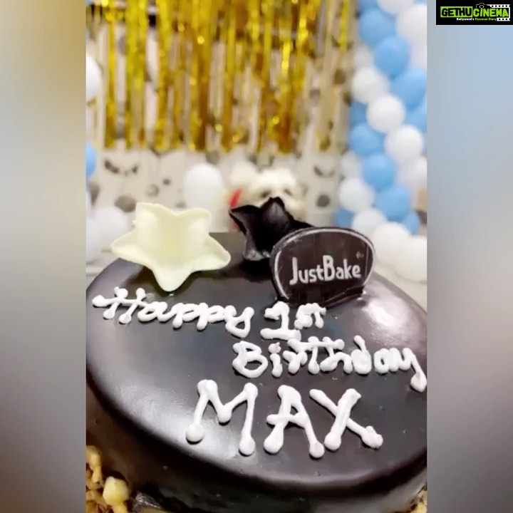 Diksha Panth Instagram - Maxie boy turns 1♥️