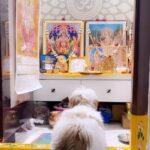 Diksha Panth Instagram - Max♥️#quarantinelife
