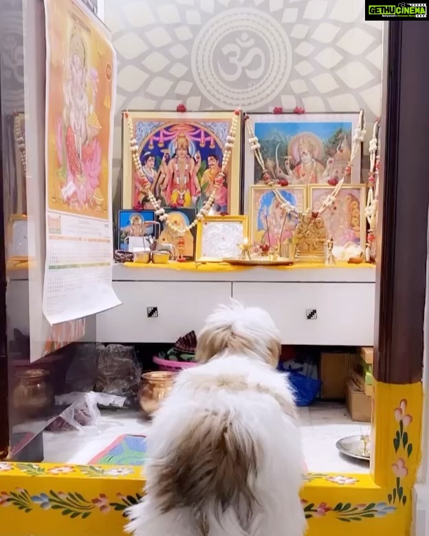 Diksha Panth Instagram - Max♥️#quarantinelife