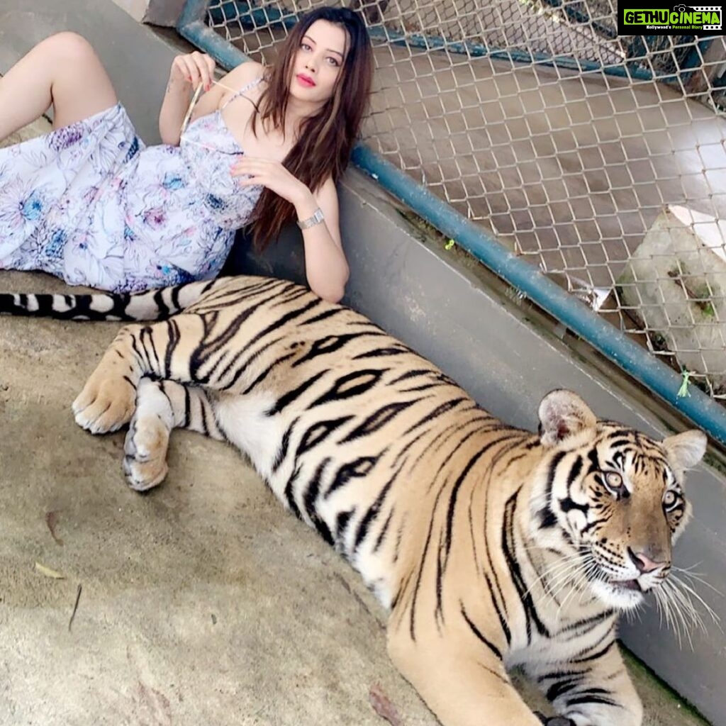 Diksha Panth Instagram - Aaj kuch toofani karte hai 😎 #love #peace #loyalty #berealbetrue #deekshapanth #follow #throwbackpic📷 Tiger Park Pattaya
