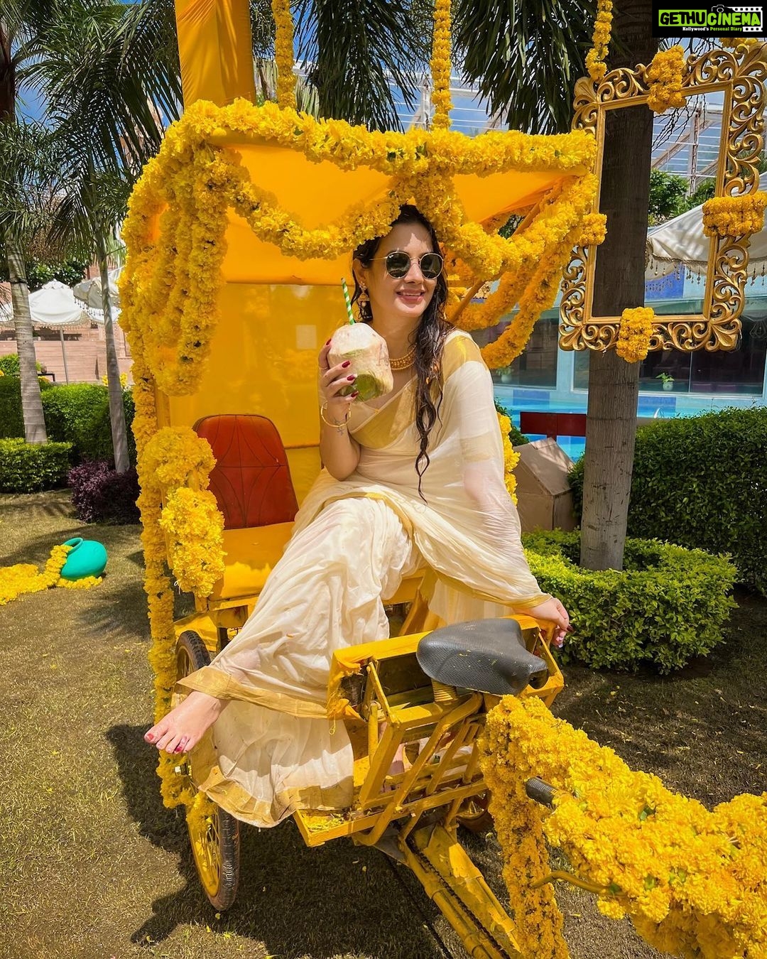 Diksha Panth Instagram - Your vibe becomes more attractive when you choose to be real❣️ Be True Be wild Be Happy 🧿 PC 📸 : @avamsee Styling : @divya_kanigelupula #udaipurdiaries #anusun #explore #explorepage #exploremore #trending #trend #instagram #instagood #instadaily #instafood #instamood #ethinicwear #southindianlook #keralakutty #destinationwedding #haldiceremony #instamoment #instafashion #hyderabad #dikshapanth #deekshapanth #dikshapantth Radisson Blu Udaipur Palace Resort and Spa